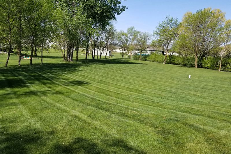 Clean Cut Lawn Care Reliable Lawn Care and Landscaping